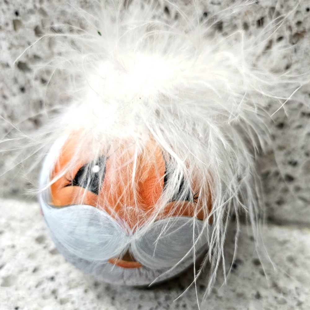 Santa ornament